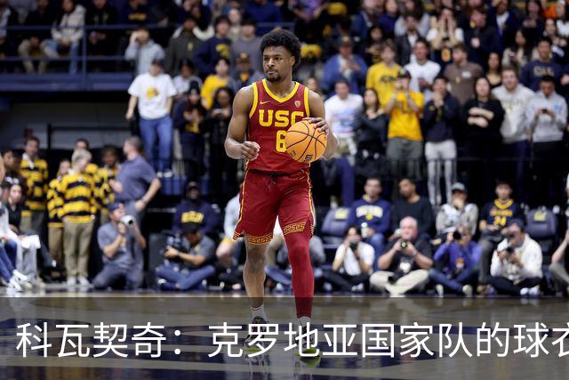 科瓦契奇：克罗地亚国家队的球衣，对我们而言是神圣的